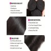 YSwigs 100% Human Hair 3 Bundles With 1 Closure Brazilian straight Hair  ,HXQ334