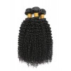 YSwigs 100% Human Hair Bundles With Closure Brazilian Kinky Curly Hair Weave HXQ334